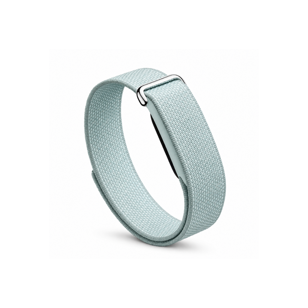 Google Fitbit Air | Fog